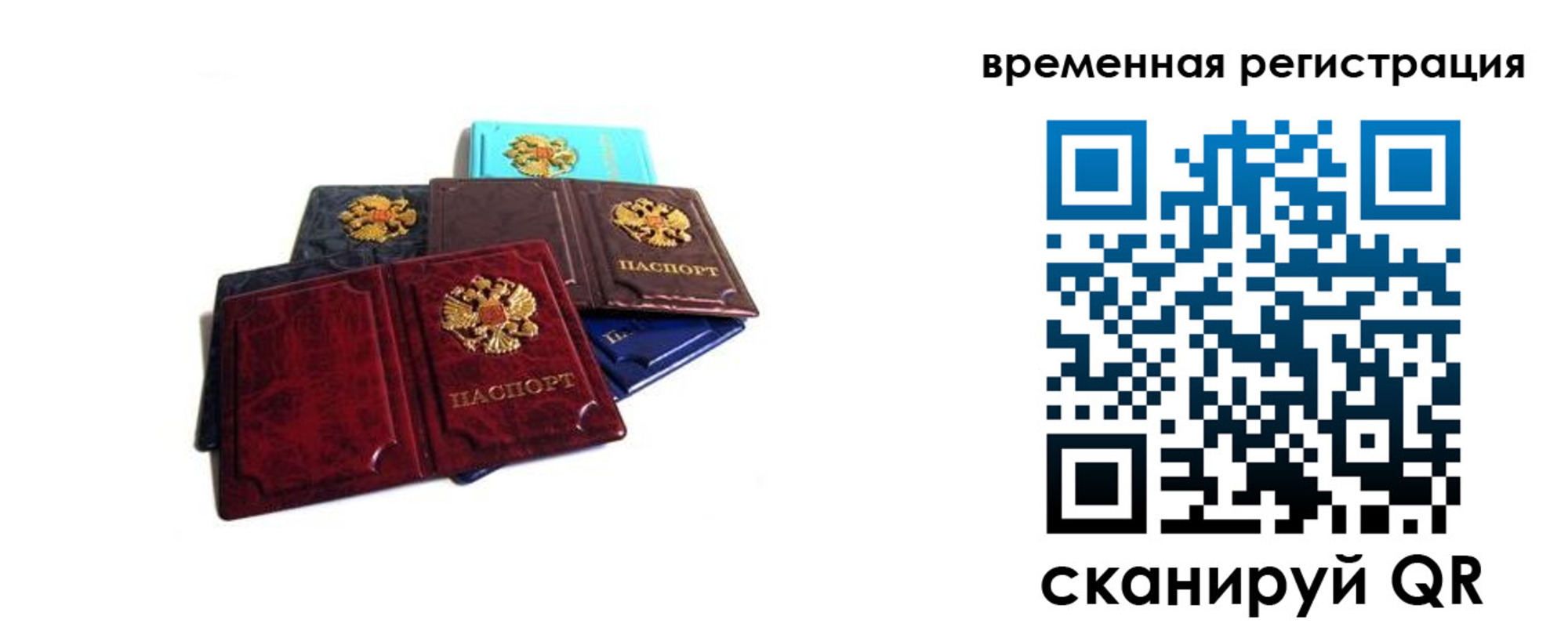 прописка гарантия в Мордовии